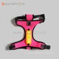 Mesh Webbing Usb Recharge Led Flashing Dog Harness